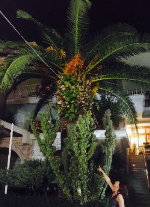 Mala Barka餐厅图片