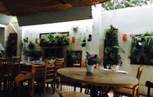 Balaio de Manga BistrO餐厅图片
