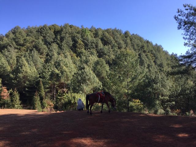 火山地熱國家地質公園