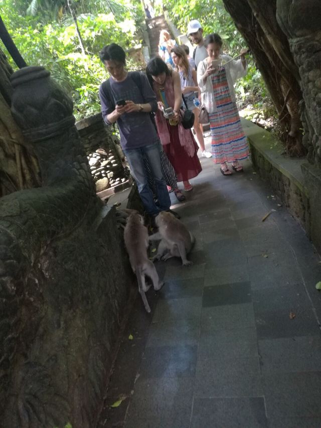 Ubud Monkey Forest