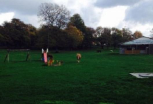 Selvaggi - Staffoli Horses美食图片