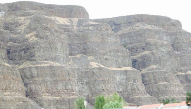 Tower Pizza餐厅图片