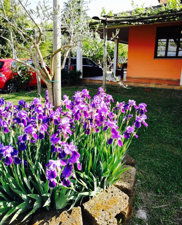 Azienda Agrituristica La Rosa餐厅图片