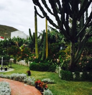 Restaurante Brisas de Teno