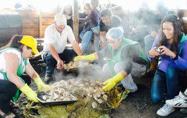 El Trauco de Guanaca