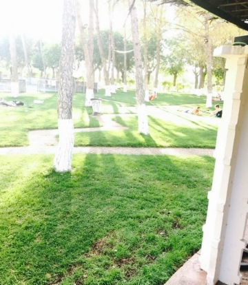 Restaurante El Cruce餐厅图片