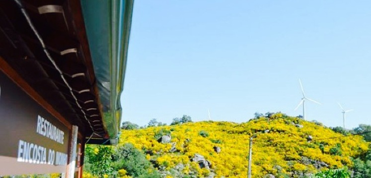 Encosta do Moinho-Restaurante e Pizzaria Lda