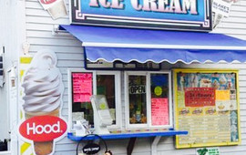 Froagie's Ice Cream