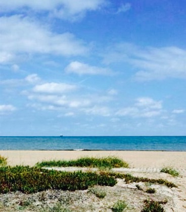 Primera Linea餐厅图片