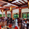 The Banyan Tree