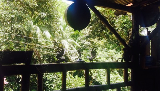 Rogerio's Restaurante e Bar