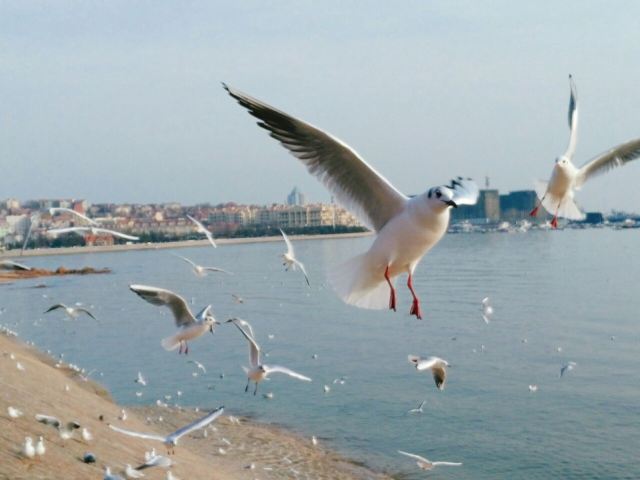잔교(잔차오)