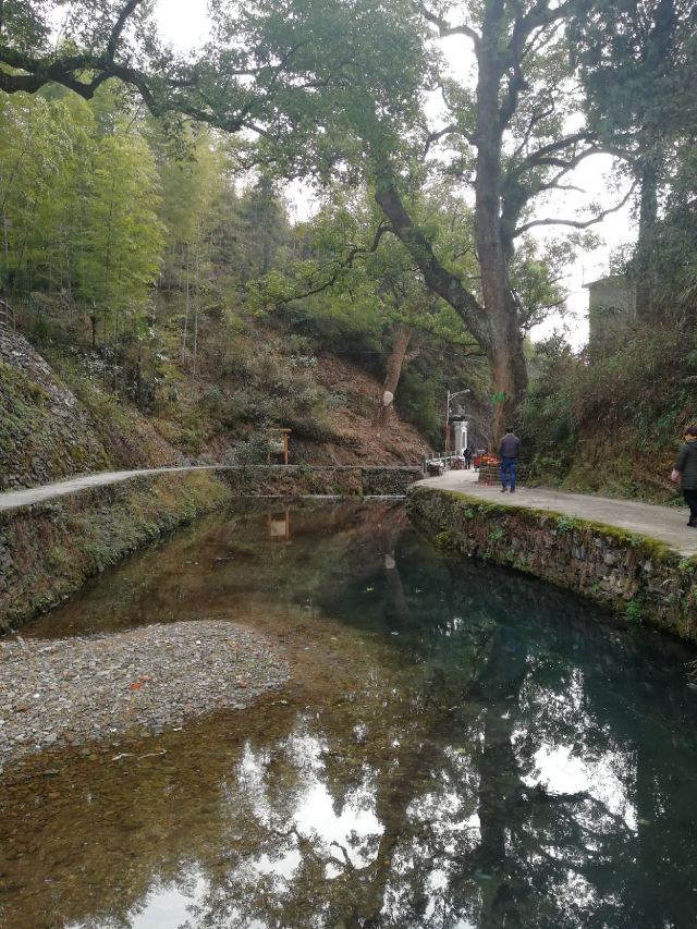 芹川村
