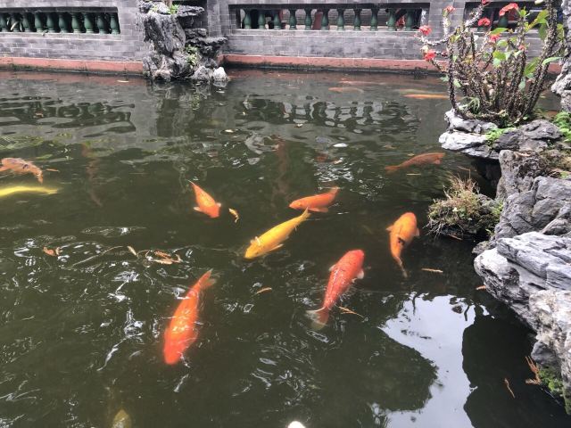 Qinghui Garden