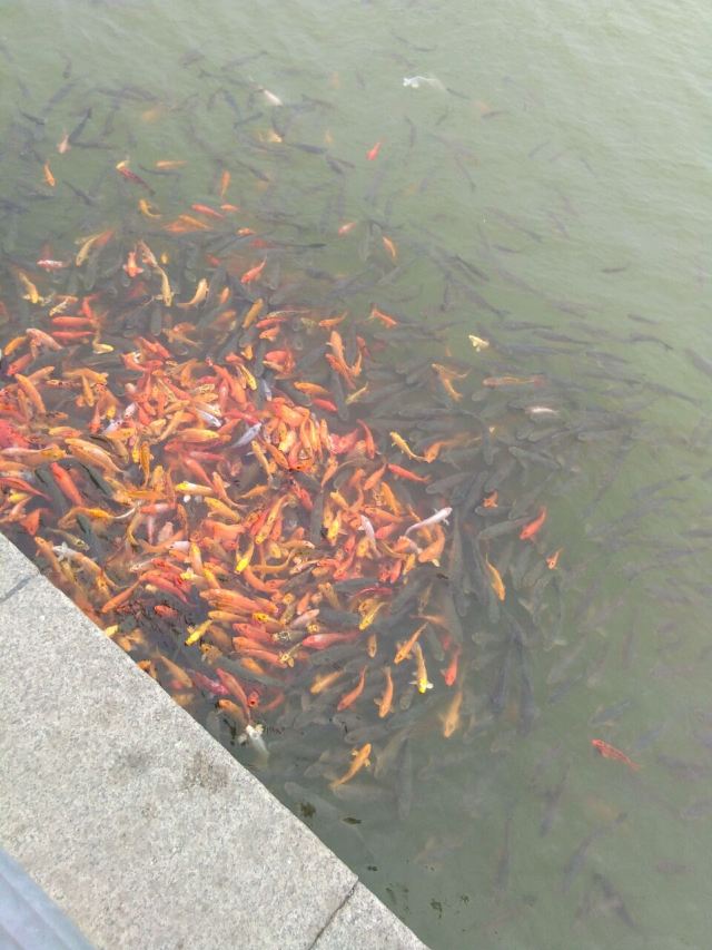 Quancheng Oulebao Menghuan Shijie - European-Themed Amusement Park