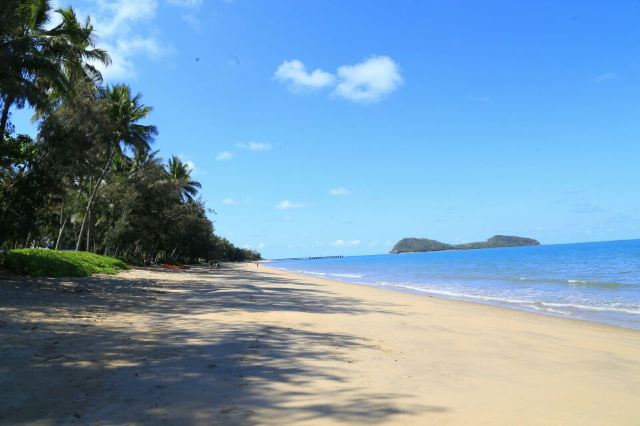 Palm Cove