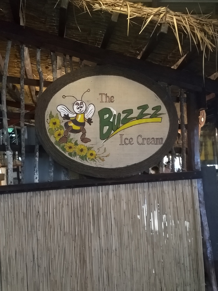 带着丫头逛世界之蜜蜂农场 大多数去薄荷岛（Bohol）度假的游客都会听说过蜜蜂农场（Bohol Be