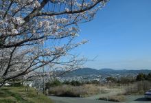 大牟田甘木公园景点图片