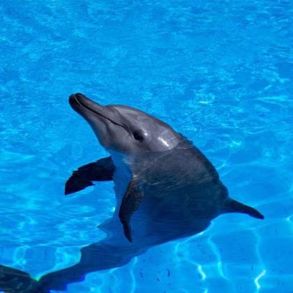 广州+海陵岛+江门+珠海+中山+长隆7日6晚拼小团