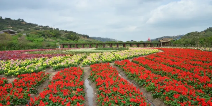 丹櫻農業生態園