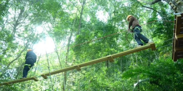 新豐江國家森林公園桂山風景區