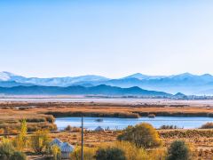 北疆环线游,去看新疆醉美的金秋