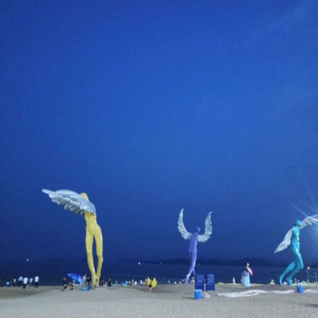 Dameisha Sea Tour