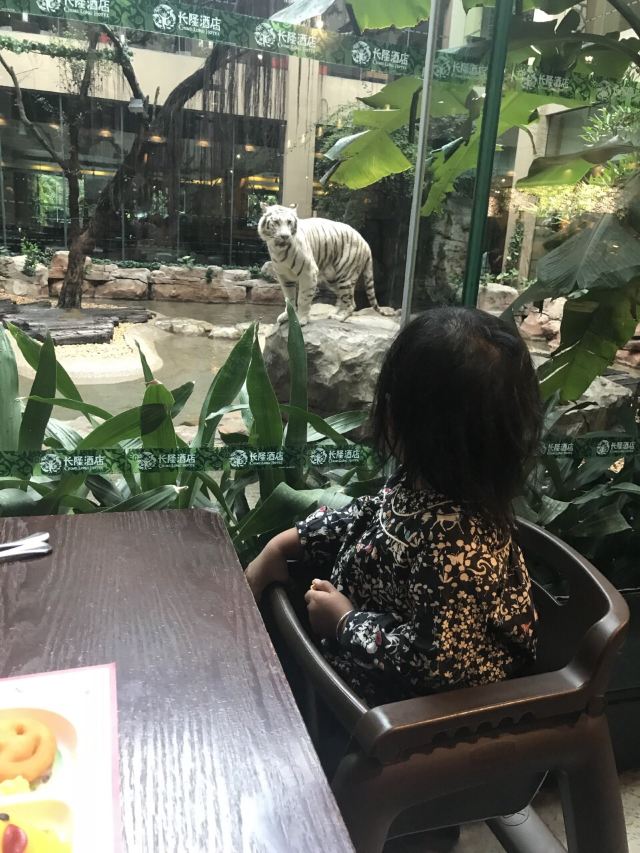 Guangzhou Changlong Hotel Bai Hu Buffet Restaurant