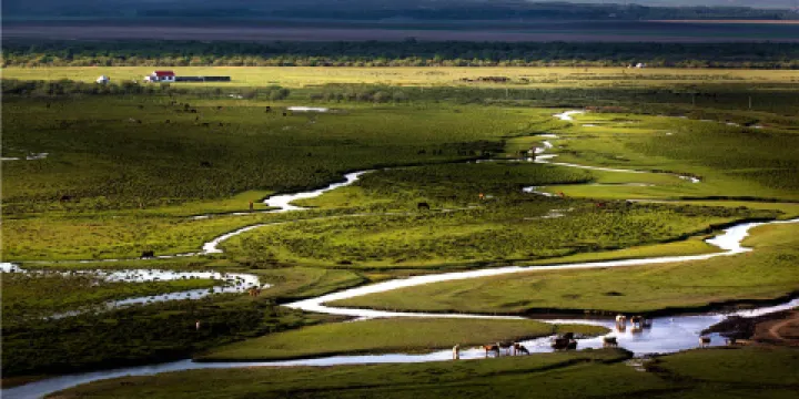 昭蘇濕地公園景區