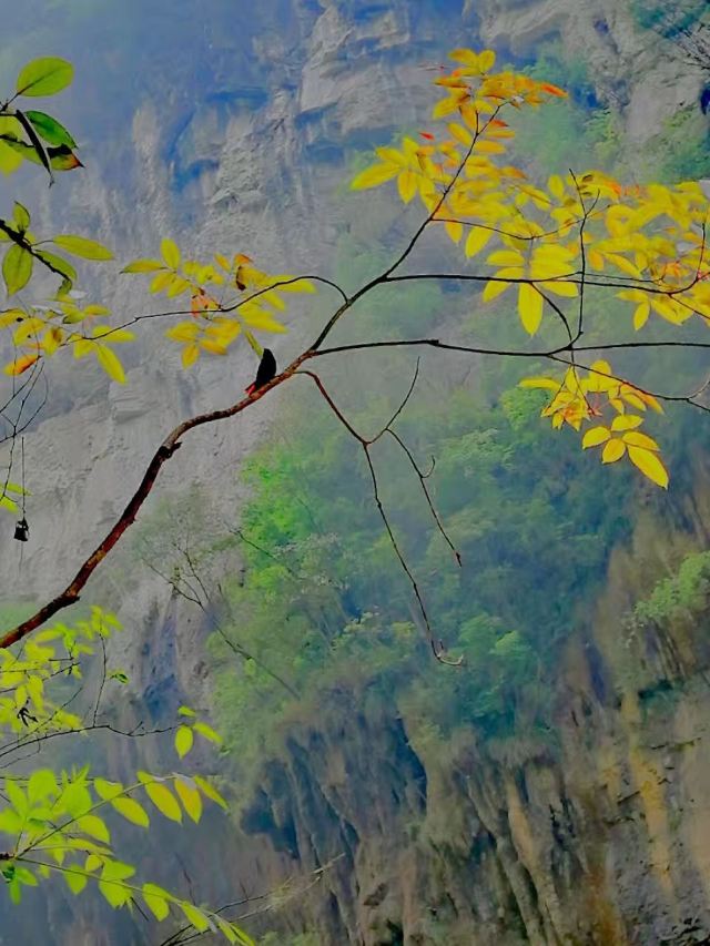 Nanjiang Canyon