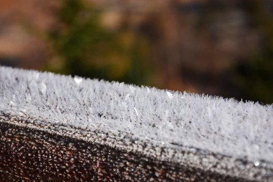 多彩云南尽在当下,秋枫未败冬霜乍起
