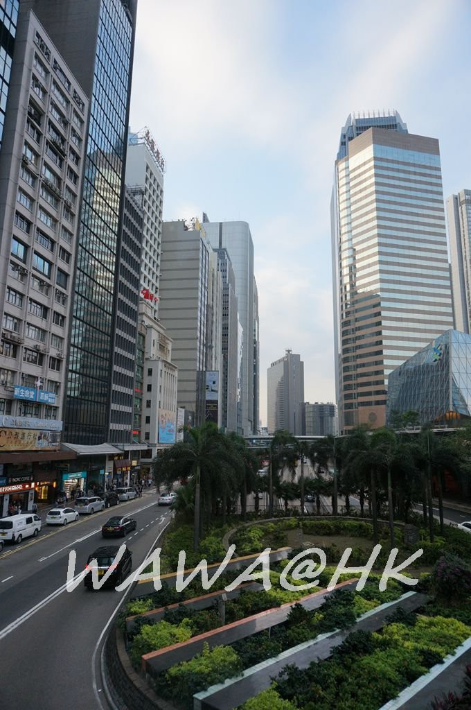 九龙+香港岛