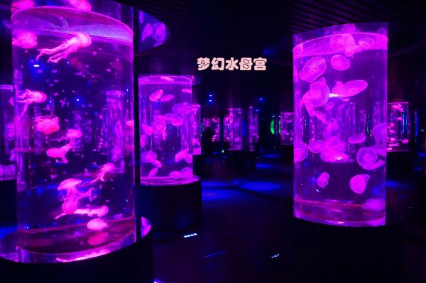 Gallery 1
