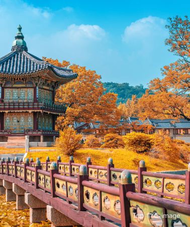 7日6晚 • 韓國首爾＋釜山＋濟州島 「韓境三城記 ＆ 9 人 VIP 小團」商圈酒店入住，含 KTX 列車票｜接送機站全覆蓋｜暢玩特色膠囊小火車 