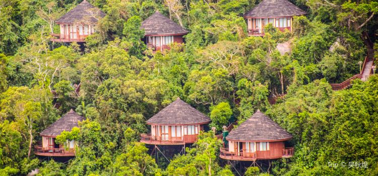 The Birds Nest Resort Travel Guidebook Must Visit -