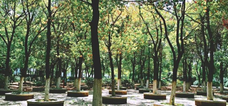 Suzhou China Flower Botanical Garden Tickets Deals - 