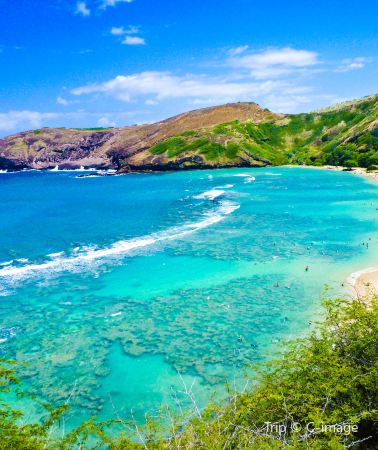 4D3N • Oahu