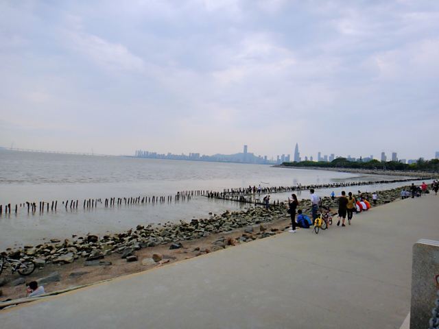 Shenzhen Mangrove Nature Reserve