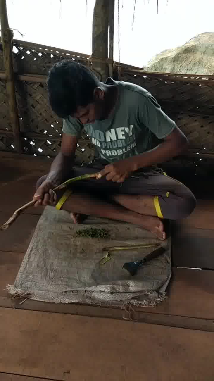 斯里兰卡原住民对肉桂的传统制作工艺