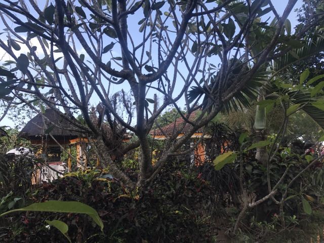 Tanah Lot