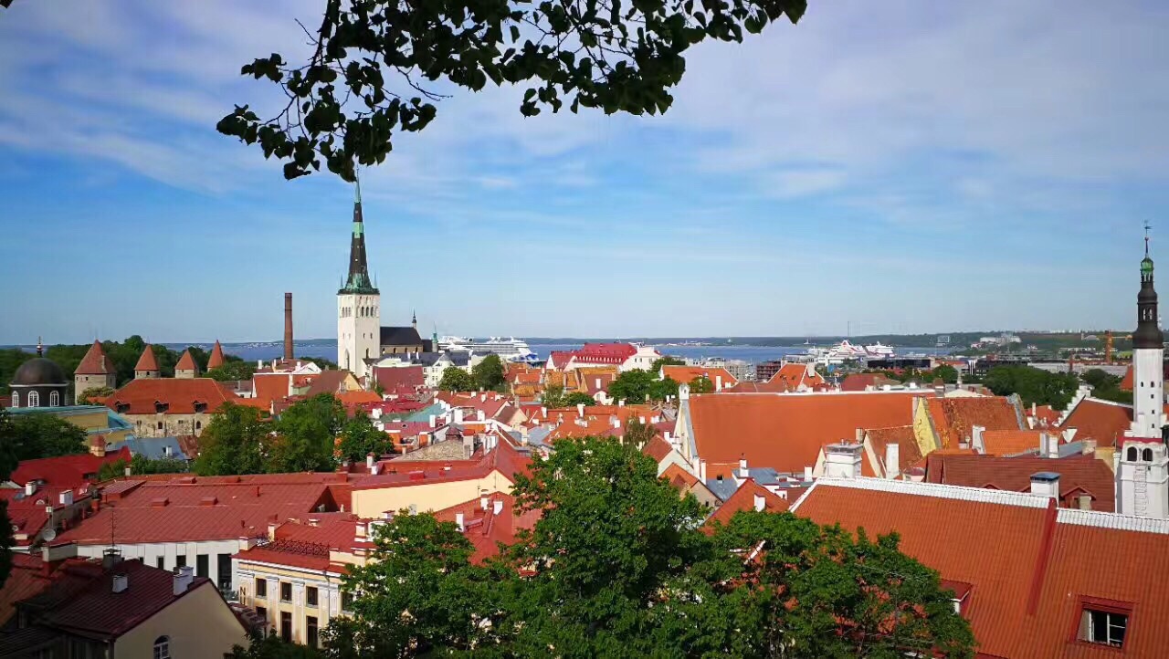 #激情一夏#爱沙尼亚塔林老城