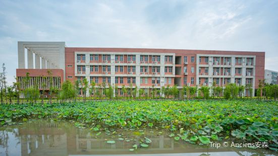 Zhuhai College of Jilin University