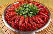 白水洋乡味楼农家乐(双溪店)餐厅图片