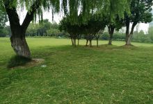 雪霸休闲农场(交通信息~请参考官网说明)景点图片