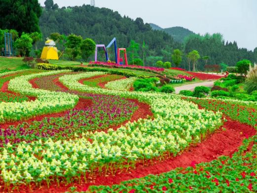 中国香山寿香谷