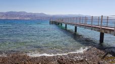 Eilat Coral Beach Nature Reserve-埃拉特-C-IMAGE