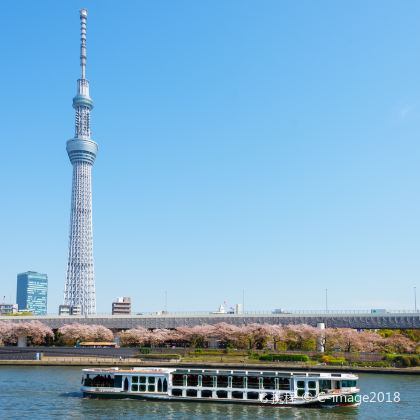 日本东京+箱根+富士山7日6晚私家团