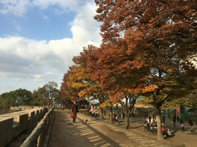 大阪城天守阁，春秋两季乃最美之境