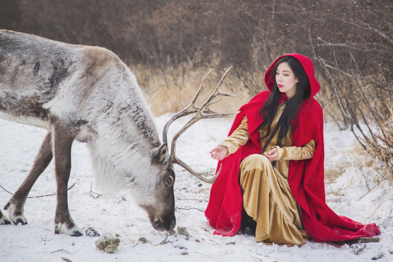 冰天雪地里的驯鹿和小红帽