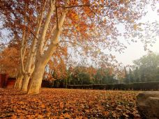 白马寺-洛阳-YoYo_4R3U7B3O